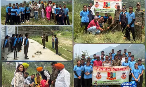 हिमाचल प्रदेश में 3500 पौधे लगाए गए, डोगरा बटालियन और NCC कैडेट्स ने लिया हिस्सा