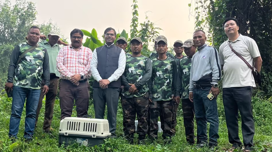 Meghalaya ने बचाए गए पैंगोलिन और पाम सिवेट को संरक्षित अभयारण्य में छोड़ा Meghalaya ने बचाए गए पैंगोलिन और पाम सिवेट को संरक्षित अभयारण्य में छोड़ा