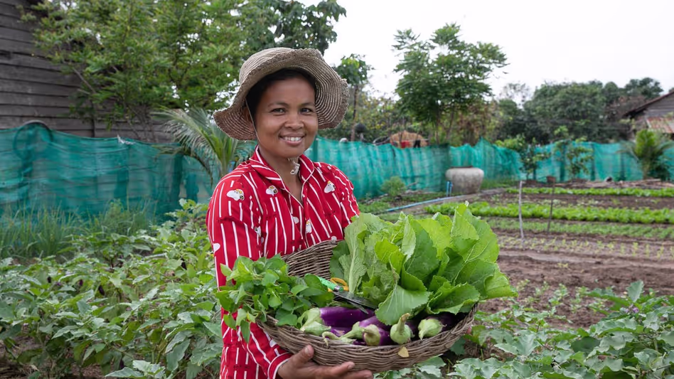 Meghalaya हिला किसानों और सस्टेनेबल ऑर्गेनिक खेती पर इंटरनेशनल कॉन्फ्रेंस होस्ट करेगा Meghalaya हिला किसानों और सस्टेनेबल ऑर्गेनिक खेती पर इंटरनेशनल कॉन्फ्रेंस होस्ट करेगा