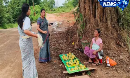 Assam के दिमा हसाओ के प्राकृतिक आमों की बढ़ी मांग, खरीदारों को भा रहा स्वाद Assam के दिमा हसाओ के प्राकृतिक आमों की बढ़ी मांग, खरीदारों को भा रहा स्वाद
