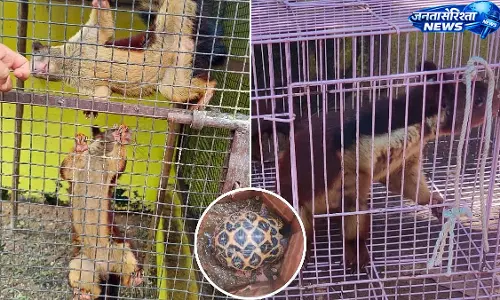 DRI की बड़ी कार्रवाई: श्रीकाकुलम में वन्यजीव तस्करी गिरोह का भंडाफोड़