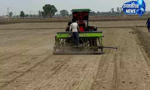Sonipat-Panipat में धान की खेती का दबदबा