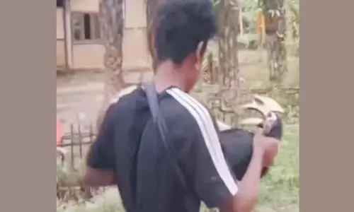 Upper Assam में हॉर्नबिल की कथित हत्या से गुस्सा; वायरल वीडियो के बाद जांच शुरू