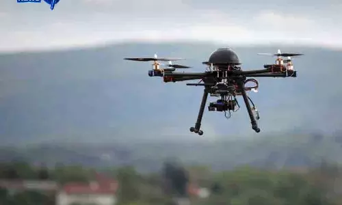 एनसीबी रिपोर्ट में Punjab का बड़ा हिस्सा