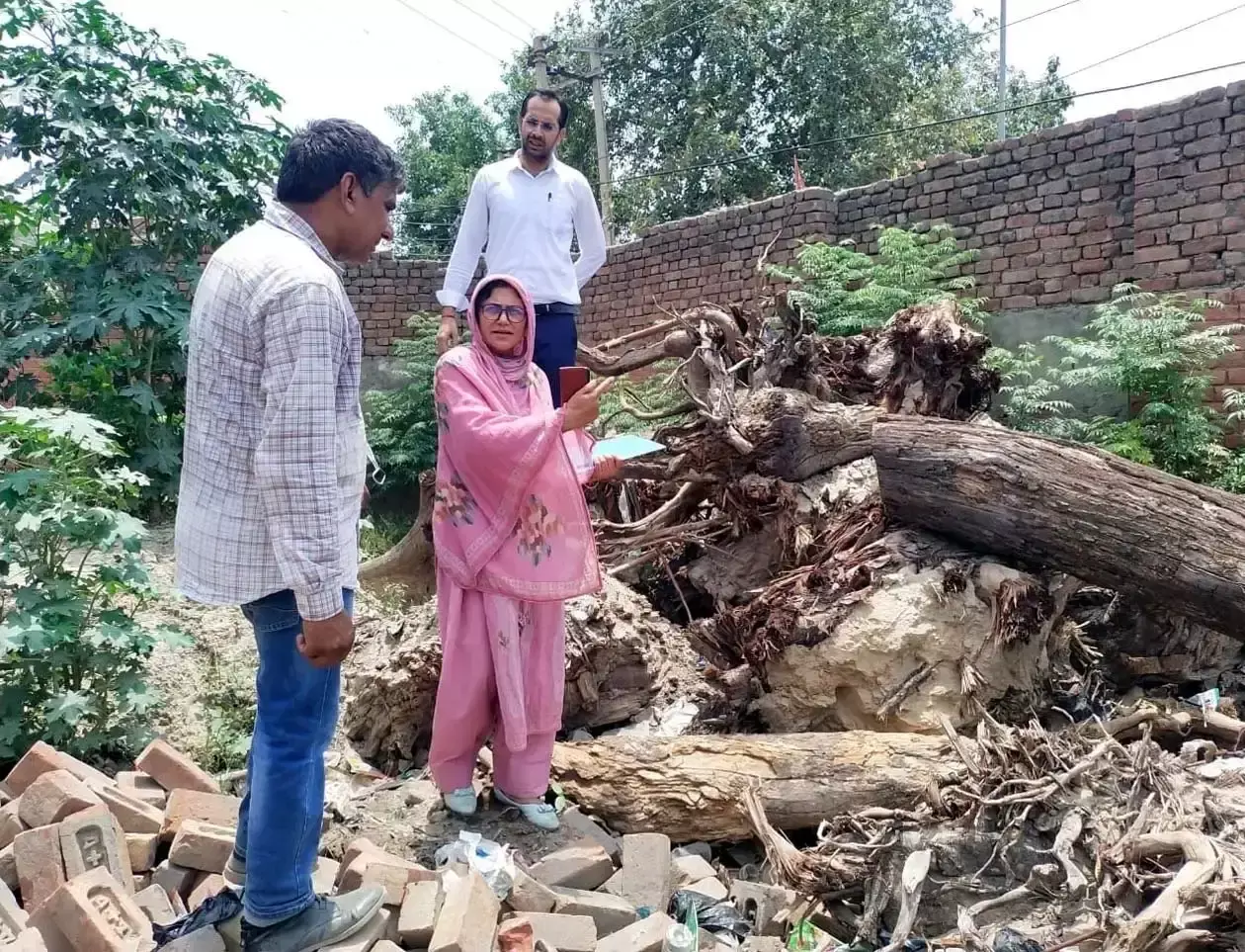 Hisar: पर्यावरण को नुकसान पहुंचाने के आरोपों की जांच शुरू करने की मांग