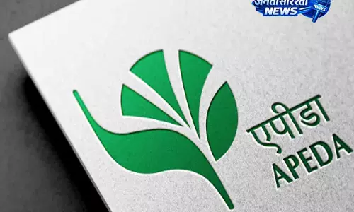 GI-tagged वाला रीवा सुंदरजा आम यूएई पहुंचा