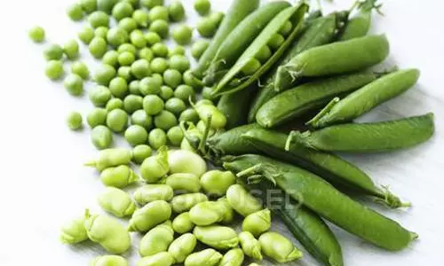 Jabalpur के मटर और सिंघाड़े को प्रतिष्ठित GI टैग मिले