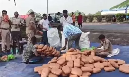 Jharsuguda में 25 लाख रुपये का गांजा जब्त, एक गिरफ्तार