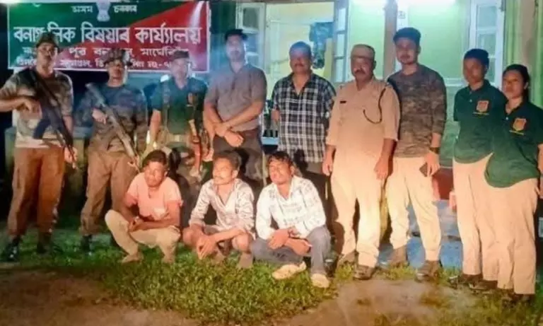 Assam: तिनसुकिया में हॉर्नबिल की हत्या के आरोप में तीन लोग गिरफ्तार