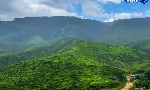 वन विभाग को तीन जिलों से छह साइट्स के लिए मिले प्रस्ताव