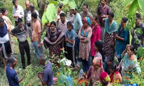 Lansdowne में गुलदार के हमले से महिला की मौत, गांवों में दहशत