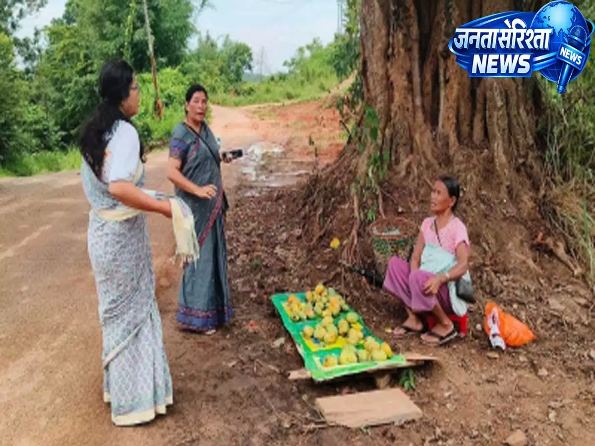 Assam के दिमा हसाओ के प्राकृतिक आमों की बढ़ी मांग, खरीदारों को भा रहा स्वाद Assam के दिमा हसाओ के प्राकृतिक आमों की बढ़ी मांग, खरीदारों को भा रहा स्वाद