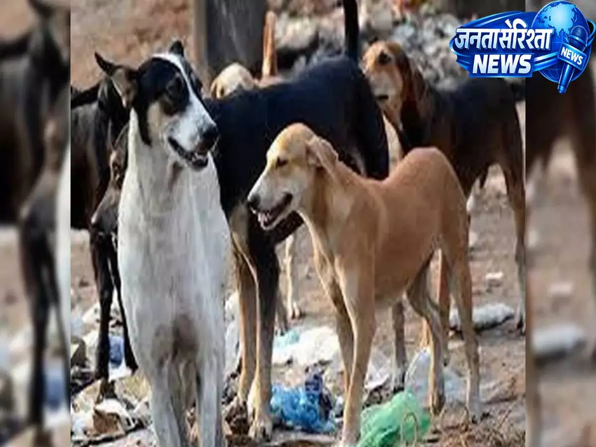 सरकार का बड़ा फैसला: मंत्रालय परिसरों से हटाए जाएंगे आवारा कुत्ते, डेडलाइन तय सरकार का बड़ा फैसला: मंत्रालय परिसरों से हटाए जाएंगे आवारा कुत्ते, डेडलाइन तय
