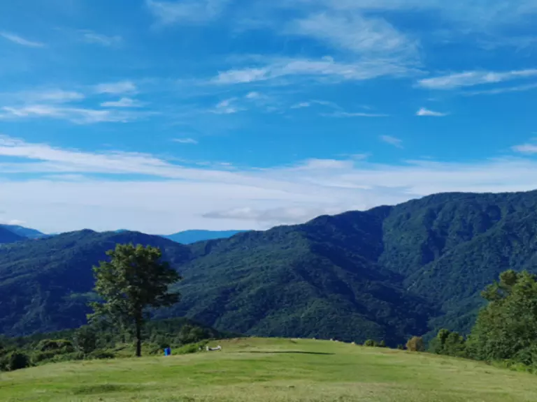 Poilwa: नागालैंड का छिपा हुआ स्वर्ग जहाँ होता है प्रकृति और संस्कृति का मिलन Poilwa: नागालैंड का छिपा हुआ स्वर्ग जहाँ होता है प्रकृति और संस्कृति का मिलन