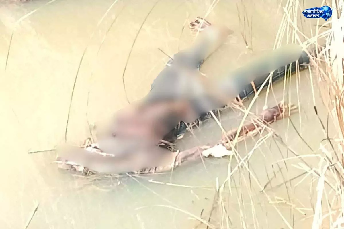 घोघरडीहा में शव मिलने से इलाके में हड़कंप घोघरडीहा में शव मिलने से इलाके में हड़कंप