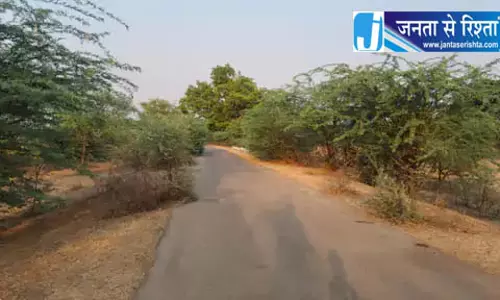 ग्रामीण सड़कों पर झाड़ियां हर मोड़ पर हादसे का खतरा
