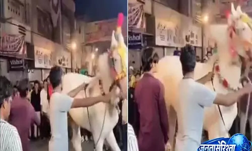 इंदौर में क्रूरता का मामला, ‘डांस’ कराने के लिए घोड़े को डंडे से पीटा, वीडियो वायरल