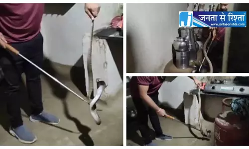 किचन में नाग सांप घुसा, सर्पमित्र ने किया रेस्क्यू