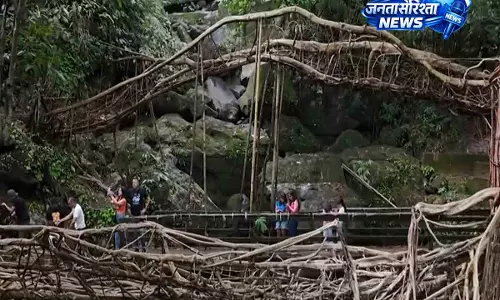 मन की बात: मेघालय के अनोखे पुलों को बचाने के प्रयासों की PM ने की सराहना