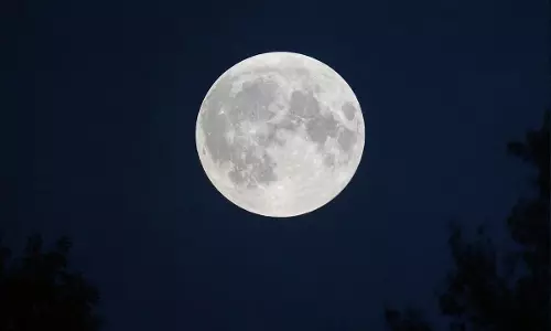 Vat Purnima  पर अपनाएं ये 5 उपाय