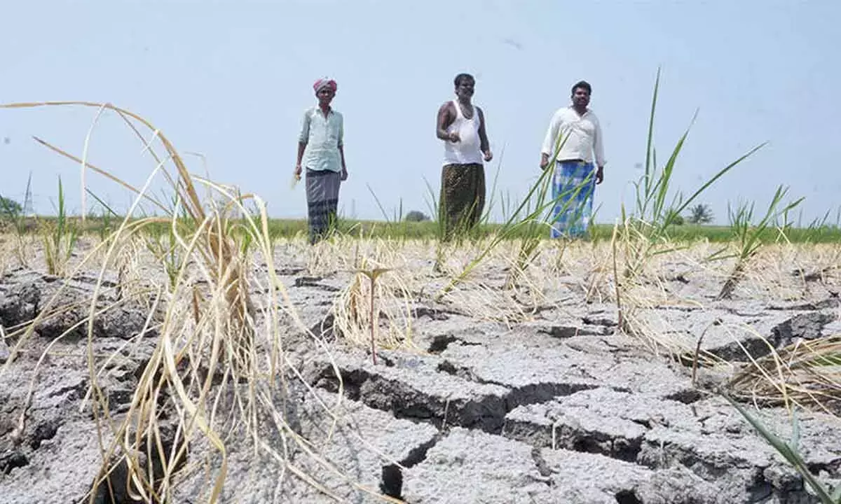 Karnataka: कम बारिश से मछली पालन और ख़रीफ़ फसलों को ख़तरा है
