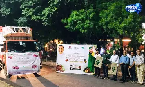 Himachal से चेरी-प्लम की पहली खेप ओमान रवाना