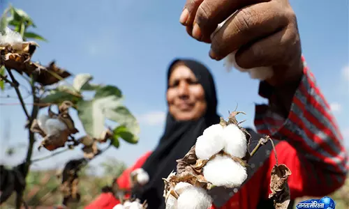 ऐतिहासिक कॉटन एक्सचेंज बंद, Pakistan के व्यापार माहौल पर फिर उठे सवाल