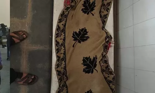 दर्दनाक हादसा, जहरीले सांप के डसने से नानी और 8 वर्षीय नातिन की मौत