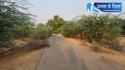 ग्रामीण सड़कों पर झाड़ियां हर मोड़ पर हादसे का खतरा ग्रामीण सड़कों पर झाड़ियां हर मोड़ पर हादसे का खतरा