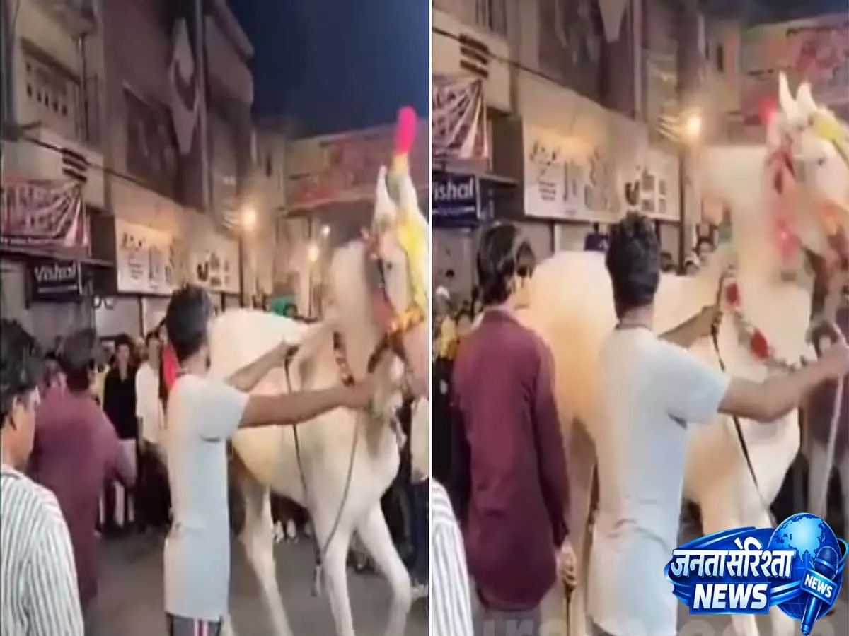 इंदौर में क्रूरता का मामला, ‘डांस’ कराने के लिए घोड़े को डंडे से पीटा, वीडियो वायरल इंदौर में क्रूरता का मामला, ‘डांस’ कराने के लिए घोड़े को डंडे से पीटा, वीडियो वायरल