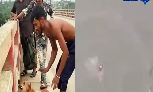 कुत्ते को ईंट बांधकर नदी में फेंकने का मामला, बांग्लादेश में आरोपी गिरफ्तार