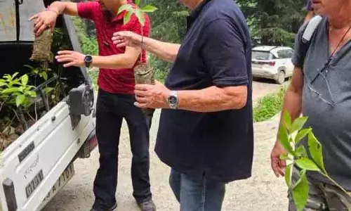 Himachal की जिभी बन रही पर्यटन का उदाहरण Himachal की जिभी बन रही पर्यटन का उदाहरण