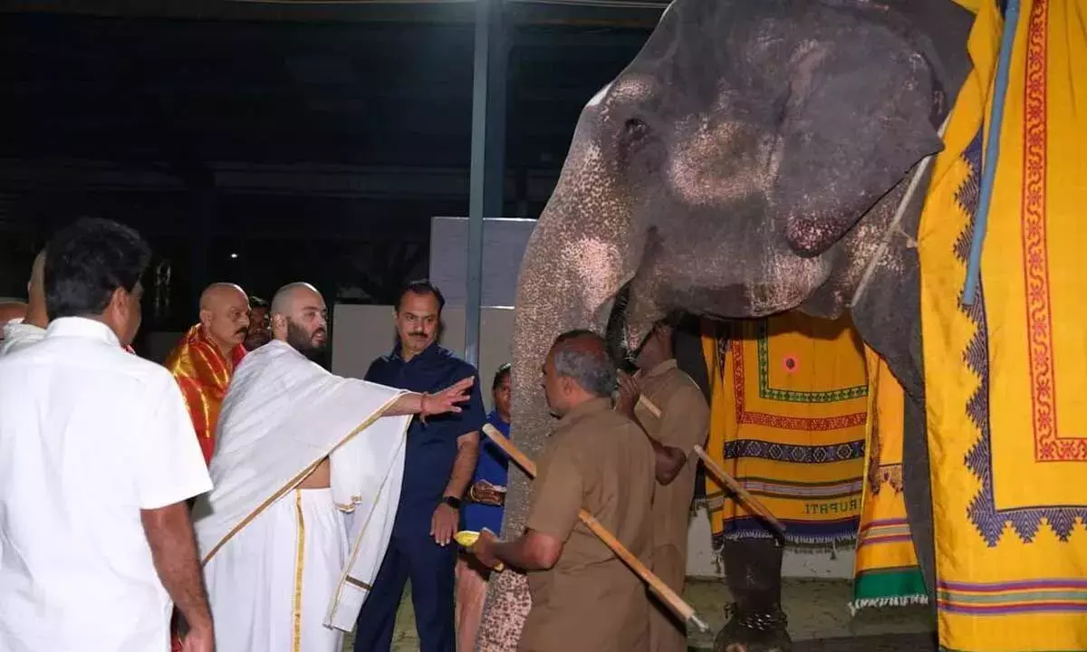 Andhra: रिलायंस तिरुमाला मंदिर को ₹27.5 करोड़ मूल्य की 25 ईवी बसें दान करेगी