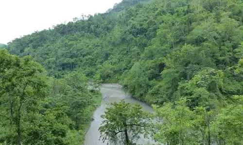 Pauri Garhwal: पर्यावरण और विकास के संतुलन की वकालत, वन कानून में सुधार की मांग उठी