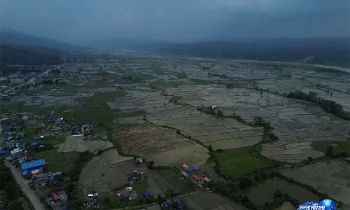 कीचड़ और उत्सव के बीच नेशनल पड़ी डे, एल नीनो से सूखे की चिंता में Nepali किसान