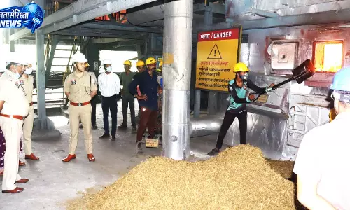 महासमुंद में 9 क्विंटल से अधिक गांजा किया गया नष्ट