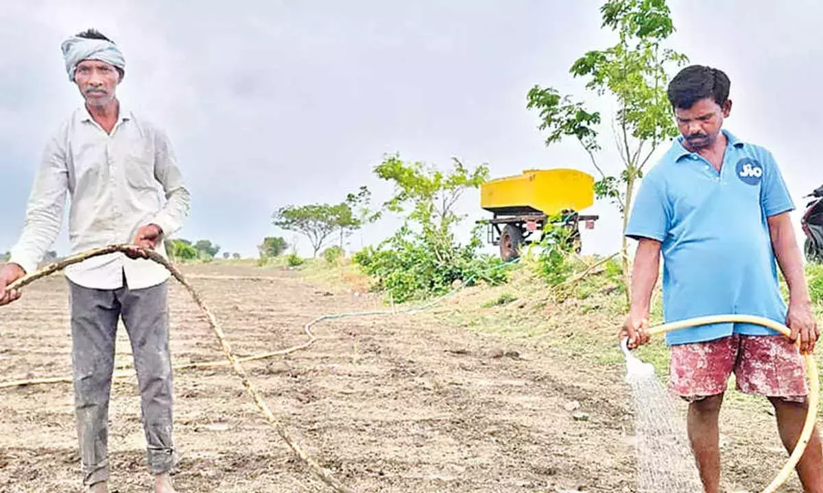 Telangana: राजन्ना सिरसिला में देर से आए मानसून ने किसानों की उम्मीदों पर पानी फेर दिया