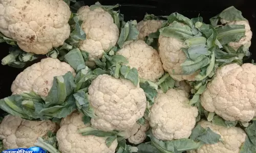 Market में मिल रही गोभी असली है या हाइब्रिड