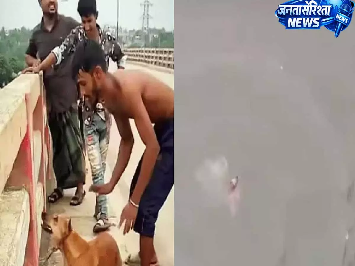 कुत्ते को ईंट बांधकर नदी में फेंकने का मामला, बांग्लादेश में आरोपी गिरफ्तार कुत्ते को ईंट बांधकर नदी में फेंकने का मामला, बांग्लादेश में आरोपी गिरफ्तार