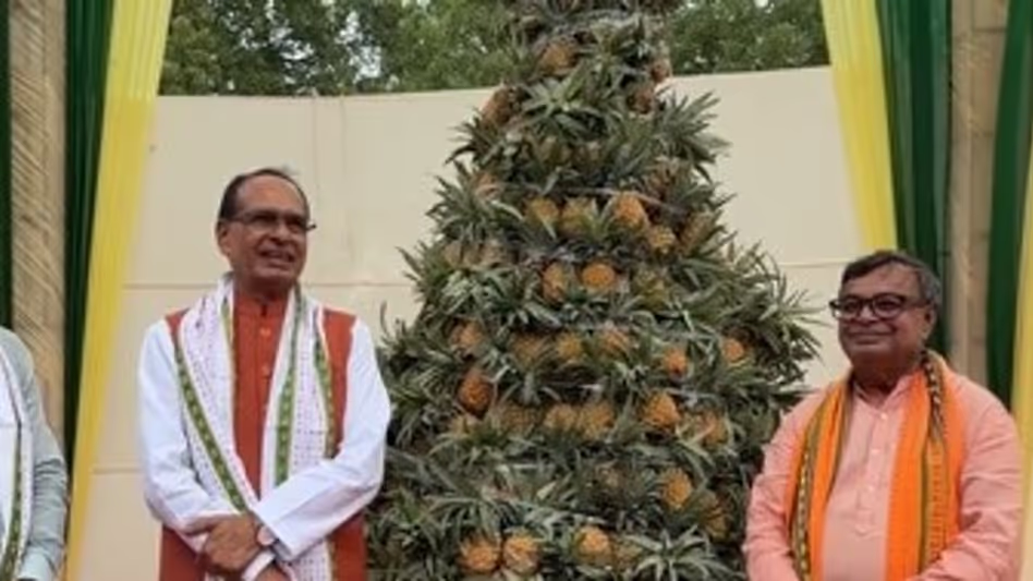 Tripura के कृषि उत्पादों को प्रमोट करेगी केंद्र सरकार, केंद्रीय मंत्री ने दी जानकारी Tripura के कृषि उत्पादों को प्रमोट करेगी केंद्र सरकार, केंद्रीय मंत्री ने दी जानकारी