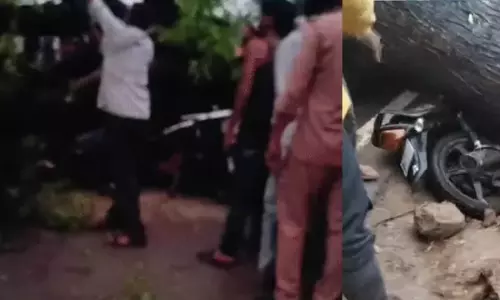 ई-रिक्शा पर गिरा पेड़, 5 सवारियों की मौत