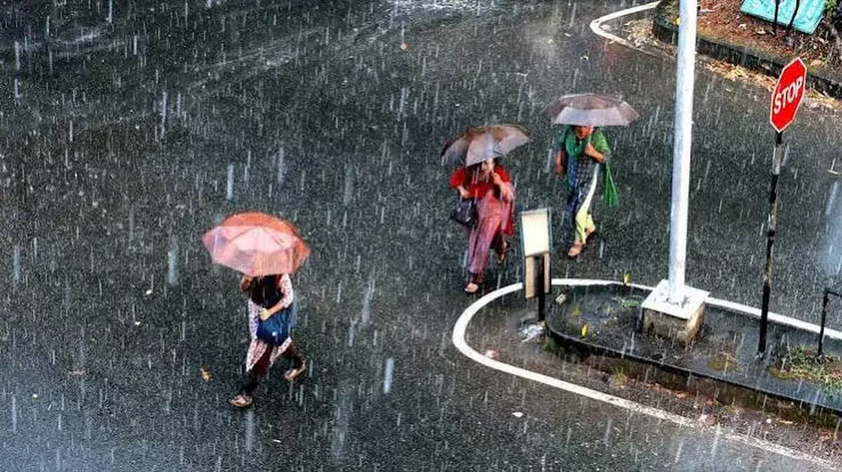 Kerala में भारी बारिश के आसार; पश्चिमी हवाओं के सक्रिय होने से मौसम विभाग का अलर्ट