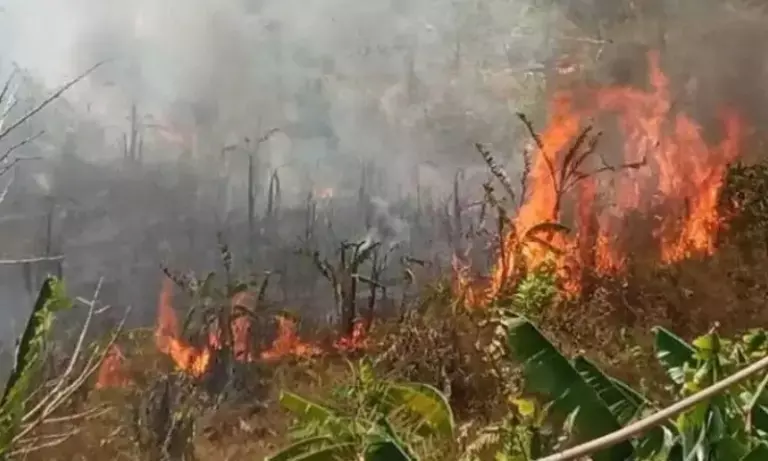 Arunachal: वेस्ट कामेंग के जंगल में लगी आग पर पाया गया काबू