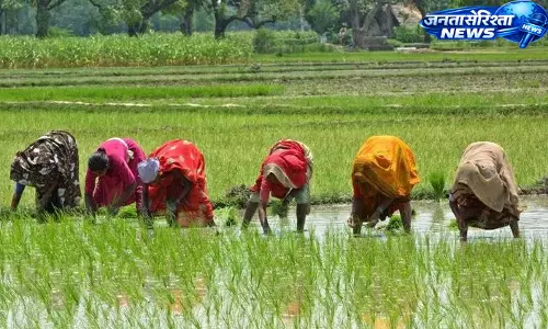 Karnataka : मॉनसून की मार, 20 जिलों में बारिश की भारी कमी, खाद संकट से किसान परेशान