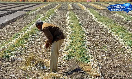 Delhi : खरीफ बुवाई में 23% गिरावट, धान-दाल और तिलहन की खेती प्रभावित