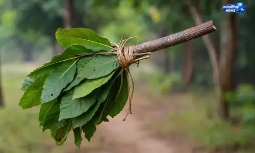 संताल हूल की अनोखी संचार प्रणाली