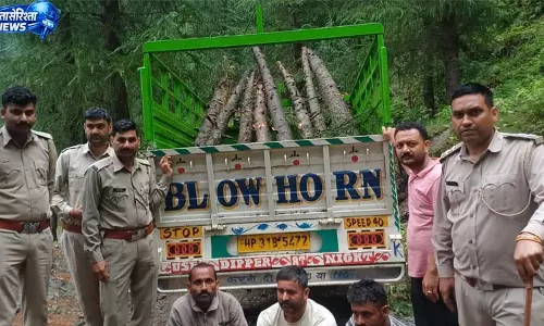 अवैध देवदार तस्करी का भंडाफोड़, तीन तस्कर गिरफ्तार, दो फरार