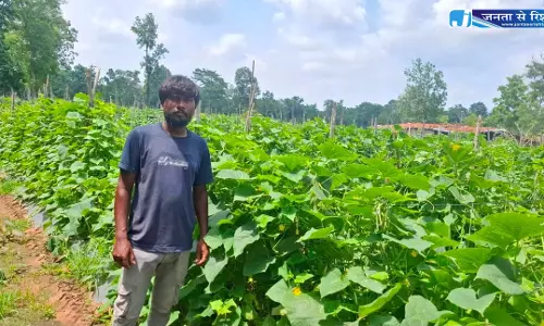 उद्यानिकी विभाग की योजना से बदली कमार कृषक की तकदीर उद्यानिकी विभाग की योजना से बदली कमार कृषक की तकदीर