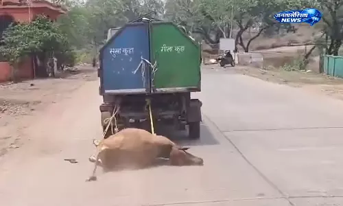 Betul : मरी गाय के शव को कचरा गाड़ी से घसीटने का वीडियो वायरल