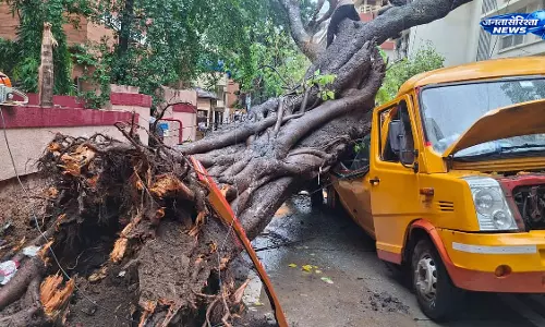 Mumbai : चेंबूर में बारिश के बीच बड़ा हादसा, स्कूल बस पर गिरा पेड़, दो छात्र फंसे